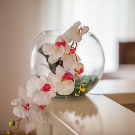 Beljan Apartments クルク エクステリア 写真
