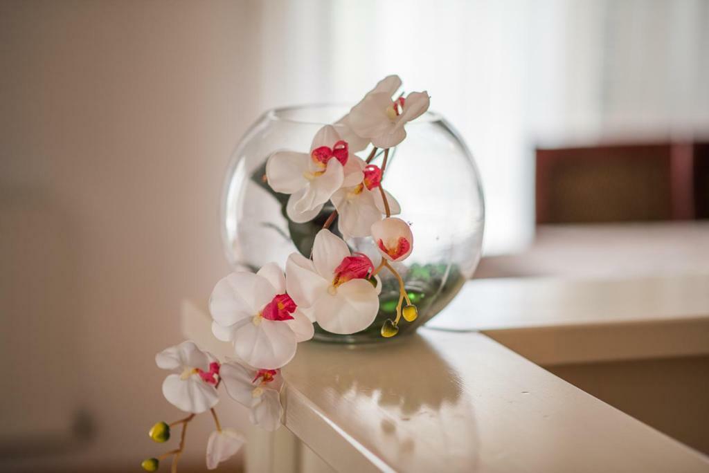Beljan Apartments クルク エクステリア 写真